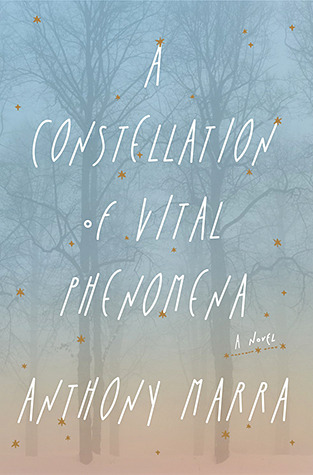 A Constellation of Vital Phenomena / Anthony Marra